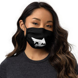 Face Mask DC B