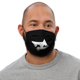 Face Mask DC B