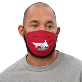 Face Mask DC R