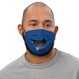 Face Mask DC B