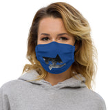 Face Mask DC B
