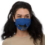 Face Mask DC B