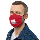 Face Mask DC R