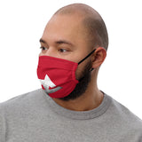 Face Mask DC R