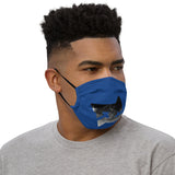 Face Mask DC B