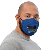 Face Mask DC B