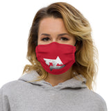 Face Mask DC R