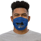 Face Mask DC B