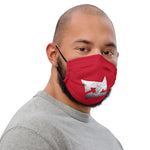 Face Mask DC R